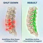 Relive Wearable Back Therapy System