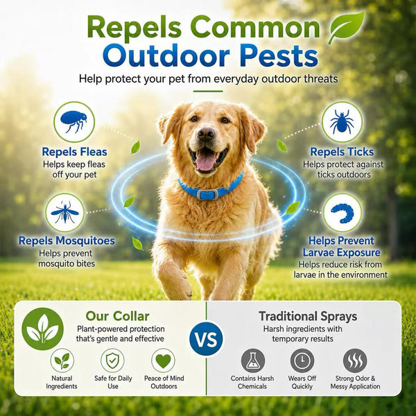 Natural Flea Shield Collar