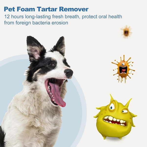 FreshPaws Oral Foam