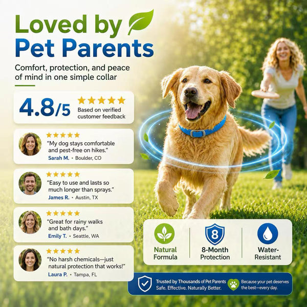 Natural Flea Shield Collar