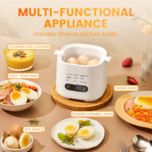Mini Multi-Functional Egg Cooker Set with Smart Touch Panel